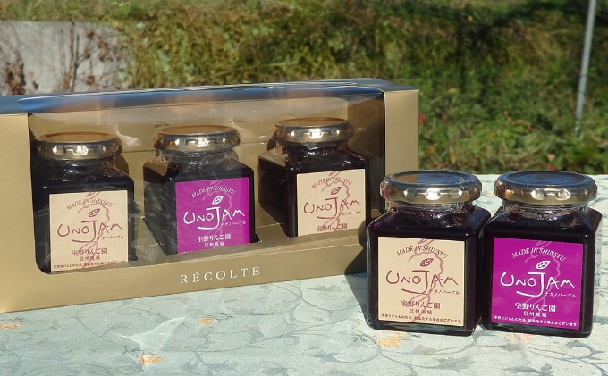 【数量限定】ナガノパープルのぶどうジャム　3本セット 果実 愛情たっぷり パン ヨーグルト 濃厚 防腐剤 プレゼント ギフト 