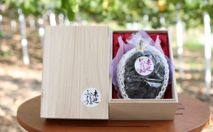 yRsz˔ j[ sI[l 1[ 750gȏ  Ԃǂ t[c R sY Ԕ_ 2026N s\ ʕ fU[g  ō VN ˔ 