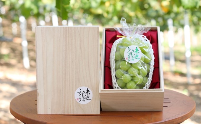 yRsz˔ VC }XJbg 1[ 750gȏ  Ԃǂ t[c R sY Ԕ_ 2026N s\ ʕ fU[g  ō VN ˔ 