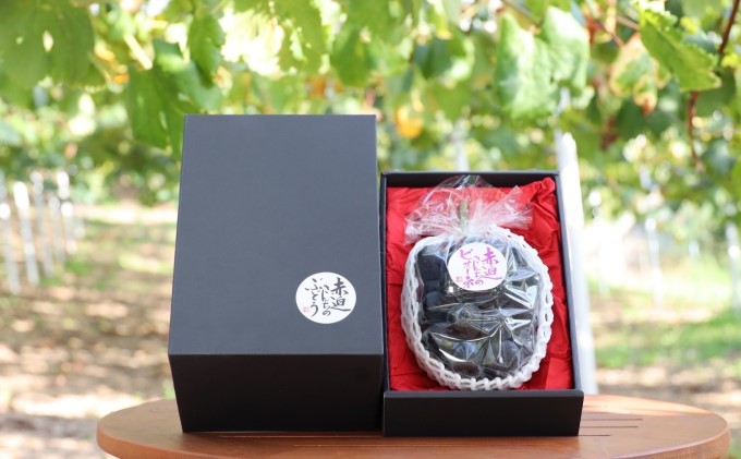 yRsz j[ sI[l 1[ 650gȏ  Ԃǂ t[c R sY Ԕ_ 2026N s\ ʕ fU[g  ō VN ˔ 