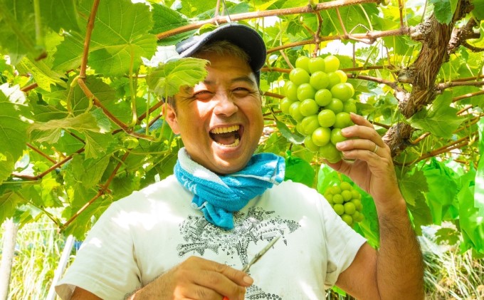 黒 シャイン マスカット 1房 650g以上 葡萄 ぶどう フルーツ 岡山 高梁市産 赤迫農園 2026年 先行予約 果物 デザート 愛情 最高 新鮮 桐箱入り 美味しい 