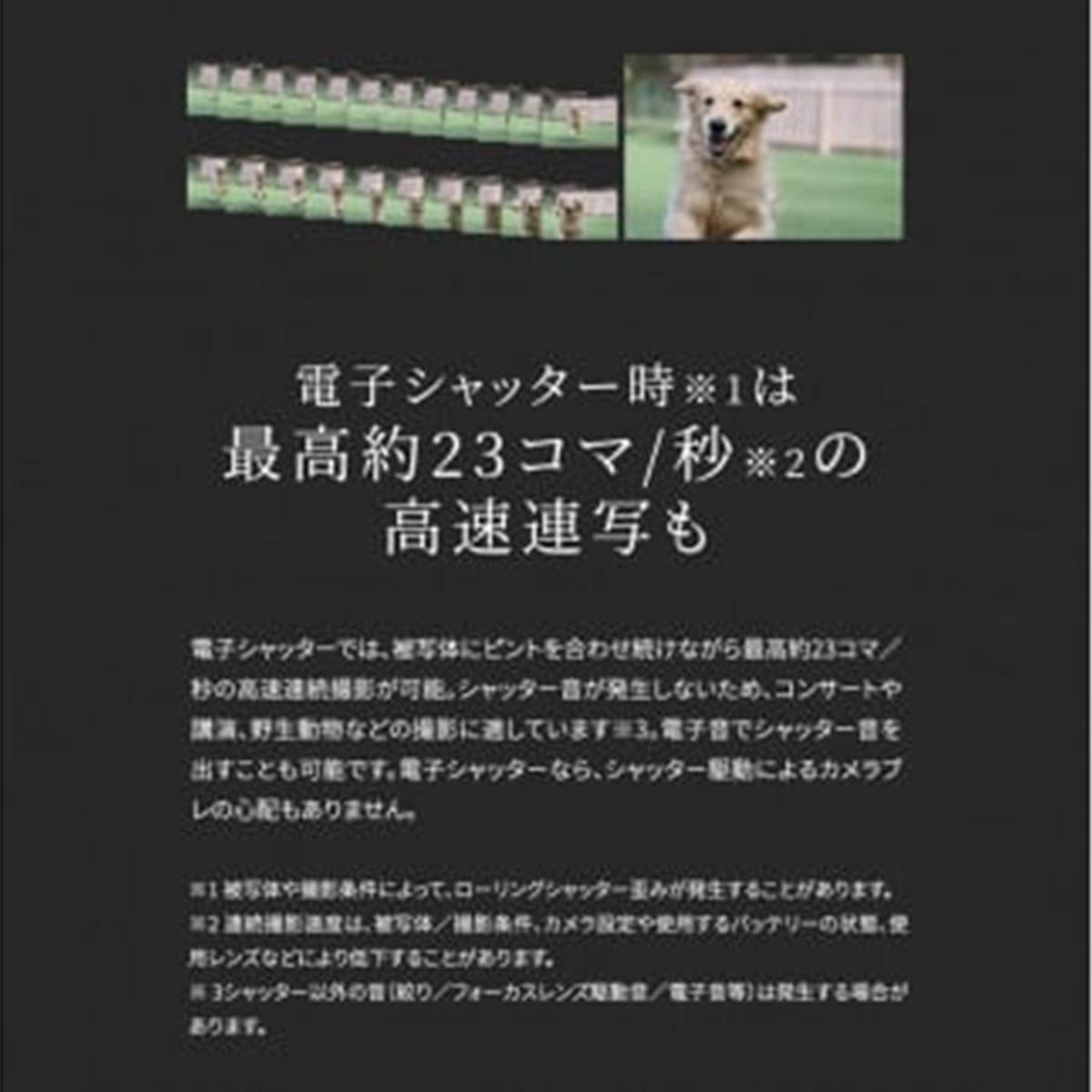 大分県国東市のふるさと納税 【早期発送 / 2週間以内】【Canon】 キヤノン ミラーレスカメラ EOS R10 レンズキット 18-150ｍｍ キャノン 一眼 家電_0018C