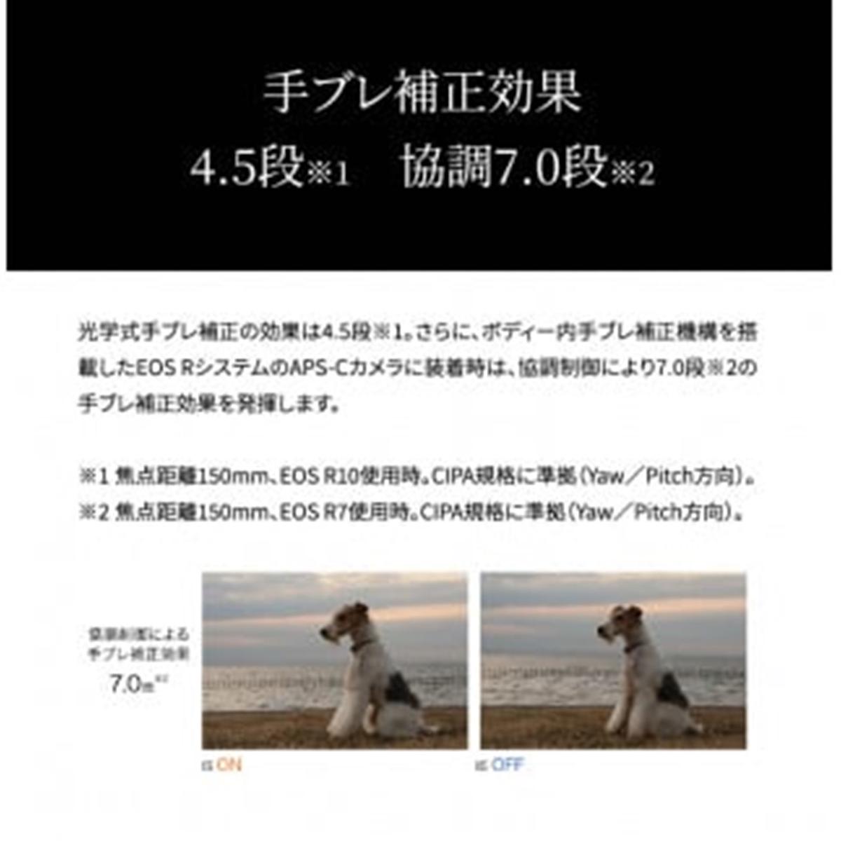 大分県国東市のふるさと納税 【早期発送 / 2週間以内】【Canon】 キヤノン ミラーレスカメラ EOS R10 レンズキット 18-150ｍｍ キャノン 一眼 家電_0018C
