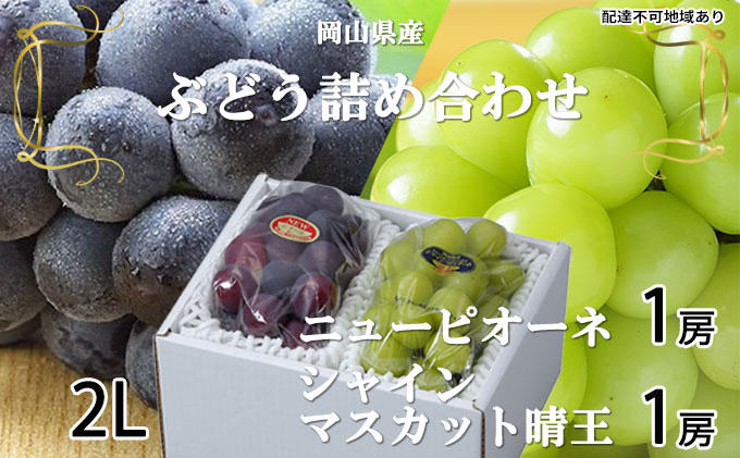 ぶどう 2025年 先行予約 ニュー ピオーネ 1房 約500g シャイン