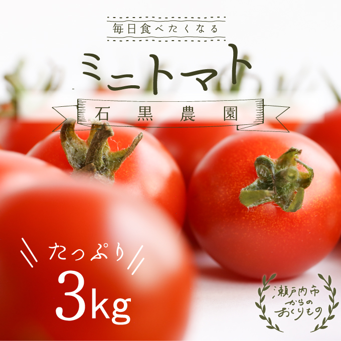 yR˓szHׂ΍񂿂 ~jg}g Ղ 3kg R ˓sY ΍_yzBsFz  ΉF T_ t킹 L@엿