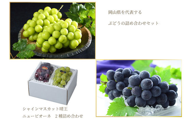 ぶどう 2026年 先行予約 ニュー ピオーネ 1房 約400g シャイン マスカット 晴王 1房 約400g 詰め合わせ 8月下旬～9月下旬発送 岡山県産 国産 フルーツ 果物 ギフト 岡山の葡萄 食べ比べ 