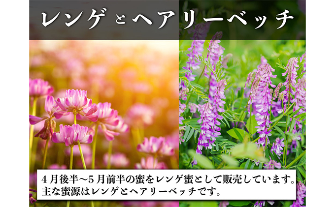 レンゲ はちみつ×1本 1.2kgと 百花 はちみつ×1本 1.2kg のセット 岡山県 瀬戸内市産 石黒農園 コク まろやか 爽やか 甘み 柔らかい味 フルーティー トンガリ容器入り ヨーグルト パン 砂糖の代わり 