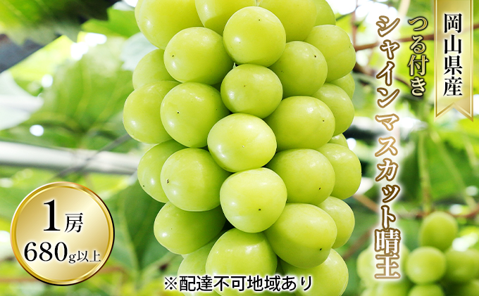 【岡山県瀬戸内市】ぶどう 2026年 先行予約 つる付き シャイン マスカット 晴王 1房 680g以上(ハウス栽培) ブドウ 葡萄  岡山県産 国産 フルーツ 果物 ギフト 岡山の葡萄