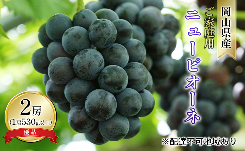 yR˓szԂǂ 2026N s\ ƒp j[ sI[l Di 2[i1[ 530gȏ In͔|j uhE   RY Y t[c ʕ R̕