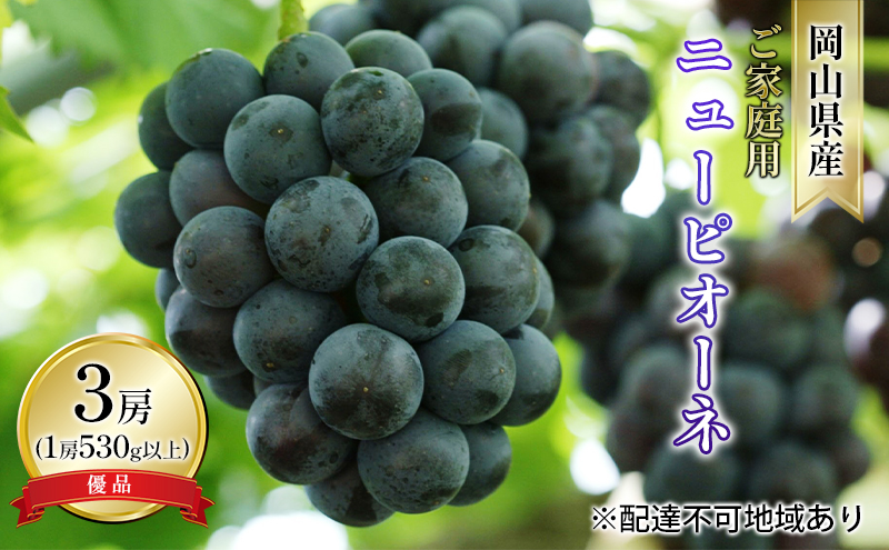 yR˓szԂǂ 2026N s\ ƒp j[ sI[l Di 3[i1[ 530gȏ In͔|j uhE   RY Y t[c ʕ R̕