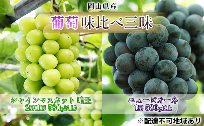 ぶどう 2025年 先行予約 葡萄 味比べ三昧 シャイン マスカット 晴王 2房（1房 580g以上）ニュー ピオーネ  1房 580g以上（露地栽培）詰合せ ブドウ 葡萄  岡山県産 国産 フルーツ 果物 ギフト 