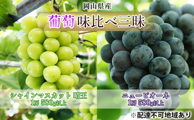 【岡山県瀬戸内市】ぶどう 2026年 先行予約 葡萄 味比べ三昧 シャイン マスカット 晴王 1房 580g以上 ニュー ピオーネ 1房 580g以上(ハウス栽培)詰合せ ブドウ 葡萄  岡山県産 国産 フルーツ 果物 ギフト 岡山の葡萄 食べ比べ