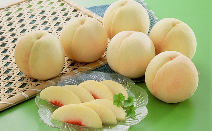 フルーツ 2026年 先行予約 3回お届け便！ 環山堂 セレクト 晴れの国おかやまより果物を旬な時期に3回に分けてお届け！ 桃 葡萄 梨 岡山県産 国産 果物 旬の果物 岡山のフルーツ 