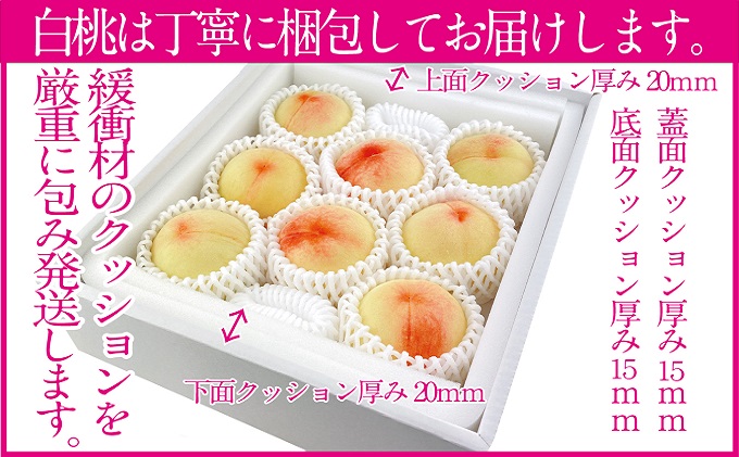 桃 2026年 先行予約 岡山の白桃 200g以上×8玉 白桃 旬 みずみずしい 晴れの国 おかやま 岡山県産 フルーツ王国 果物王国 デザート 岡山の桃 旬の桃 
