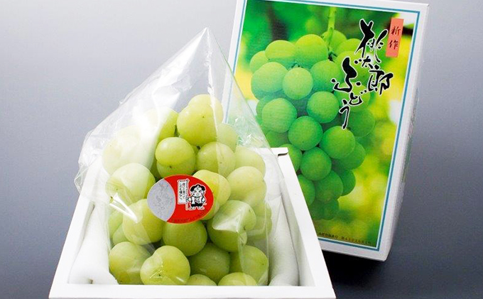 ぶどう 2026年 先行予約 桃太郎 ぶどう 1房 680g以上（露地栽培）贈答用 ブドウ 葡萄  岡山県産 国産 フルーツ 果物 ギフト 岡山の葡萄 