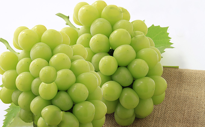 フルーツ 2026年 先行予約 3回お届け便！ 環山堂 セレクト 晴れの国おかやまより果物を旬な時期に3回に分けてお届け！ 桃 葡萄 梨 岡山県産 国産 果物 旬の果物 岡山のフルーツ 