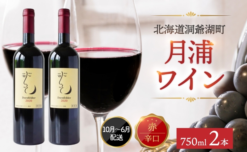 専用　城戸ワイン　2本 楽天市場】【ふるさと納税】益城ワイン 2本セット 750ml×2本 赤ワイン