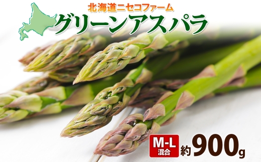 北海道倶知安町のふるさと納税 【 2026年 発送 】 北海道産 グリーン アスパラガス 約 900g  M - L サイズ混合 アスパラガス アスパラ 旬 朝採り 新鮮 お取り寄せ 産地直送 産直 野菜 農作物 詰め合わせ 国産 しりべしや