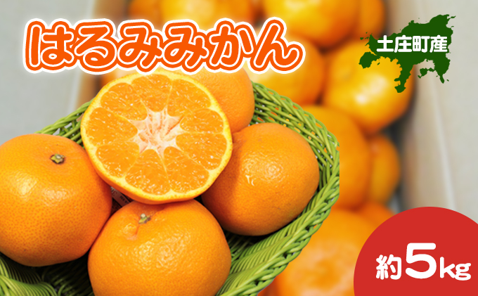 【香川県土庄町】【 小豆島 】 はるみみかん 約5kg 柑橘 みかん ミカン 蜜柑 はるみ 果物 フルーツ ジューシー くだもの 国産 香川 香川県 土庄 土庄町