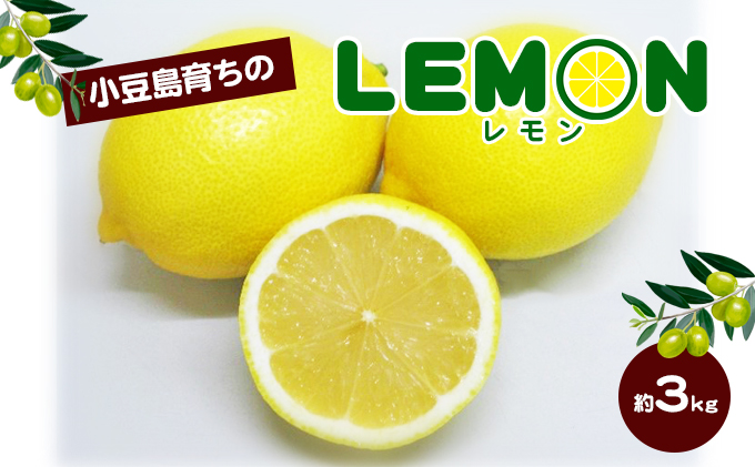 [ 小豆島 ]小豆島育ちのレモン 約3kg 檸檬 レモン 柑橘 果物 フルーツ 爽やか くだもの 国産 香川 香川県 土庄 土庄町
