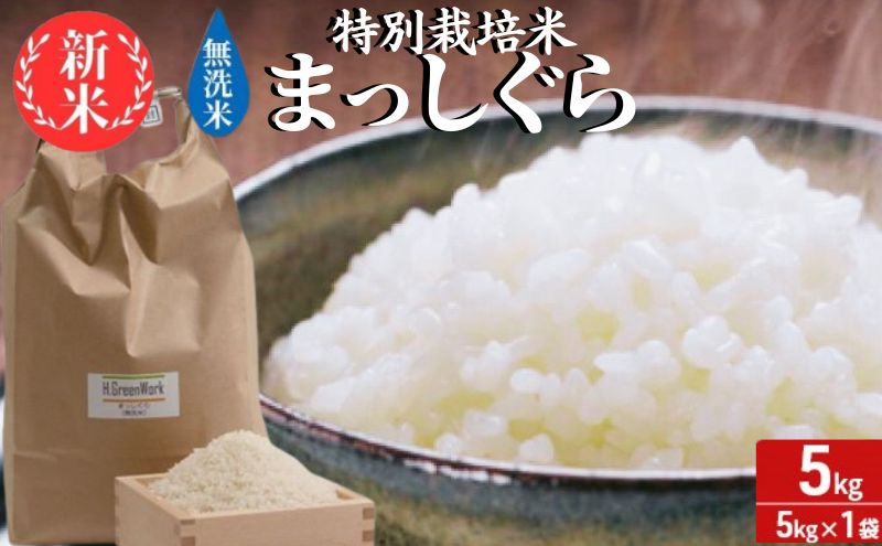 新米 令和6年産 まっしぐら 無洗米 5kg 1袋 米 白米 こめ お米 おこめ コメ ご飯 ごはん 令和6年 特別栽培米 H.GREENWORK 青森 青森県 鯵ヶ沢町 