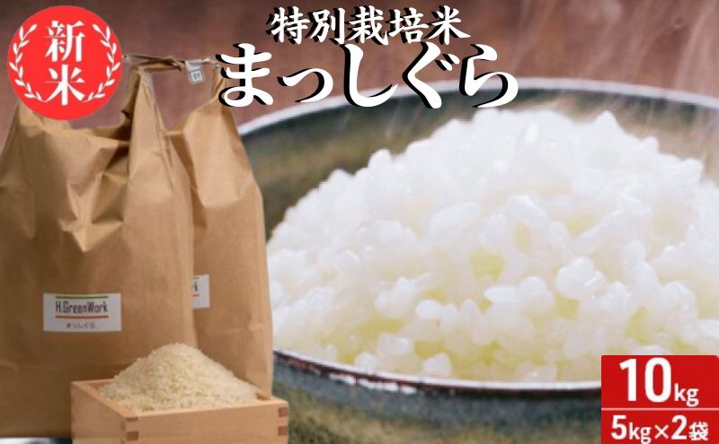 新米 令和6年産 まっしぐら 白米 10kg (5kg×2袋) 米 精米 こめ お米 おこめ コメ ご飯 ごはん 令和6年 特別栽培米 H.GREENWORK 青森 青森県 鯵ヶ沢町 