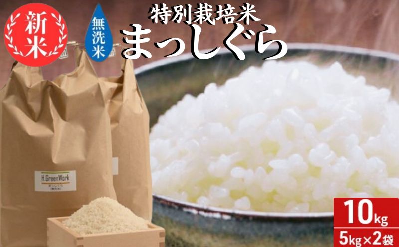 新米 令和6年産 まっしぐら 無洗米 10kg (5kg×2袋) 米 白米 こめ お米 おこめ コメ ご飯 ごはん 令和6年 特別栽培米 H.GREENWORK 青森 青森県 鯵ヶ沢町 