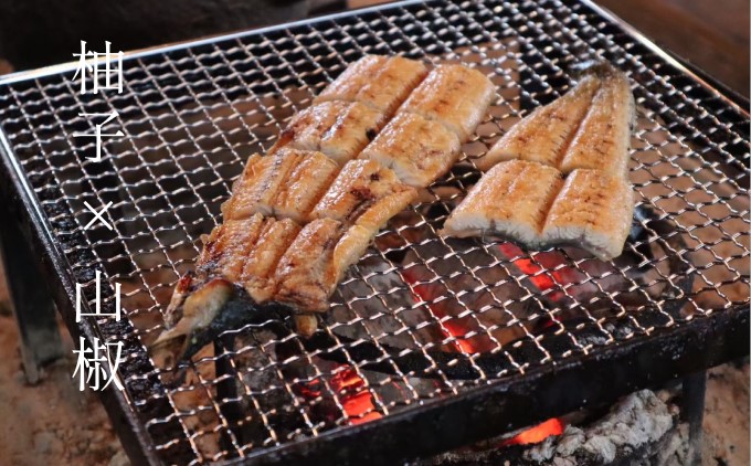 いのや。の3色柚子胡椒セット（赤・黄・緑 各色60g）【ボックス付】×3※配送不可：離島 調味料 3種類 贈り物 ギフトボックス 詰め合わせ 食卓 肉料理 魚料理 おかず 味付け 辛味 ピリ辛 食べ比べ 