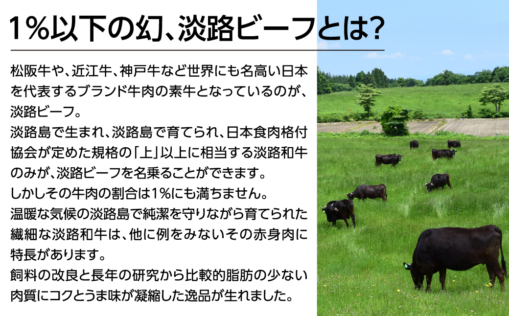 淡路ビーフきりおとし600g【お届け日指定返礼品】　　[牛肉 黒毛和牛 冷蔵 おすすめ]