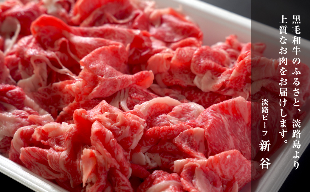 淡路ビーフ きりおとし 600g【お届け日指定返礼品】　　[切落し 切り落し きりおとし 国産 牛肉]