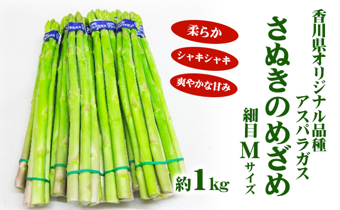 アスパラガス【さぬきのめざめ】Mサイズ1kg 野菜 