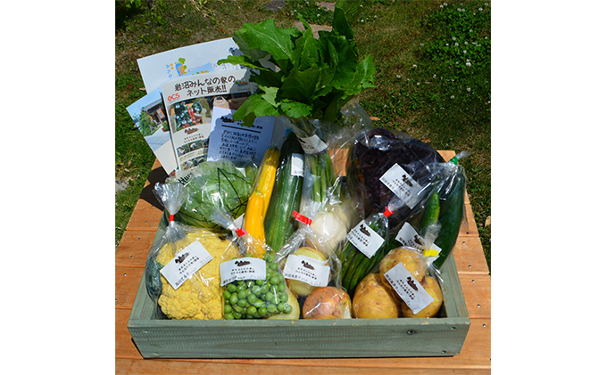 宮城県岩沼市のふるさと納税 野菜 宮城 朝どれ 野菜セット 8～10個 詰め合わせ 岩沼みんなの家 みんなの直売! 季節の野菜 旬の野菜 旬 東北 震災 支援 採れたて野菜を箱いっぱい詰め込んで 産地直送 送料無料 冷蔵 冷蔵配送 宮城県産 宮城県 岩沼市