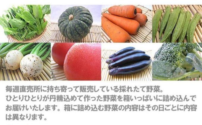 【定期便全6回】連続6ヶ月お届け！岩沼みんなの家の「みんなの直売！野菜」セット詰め合わせ 詰合せ 