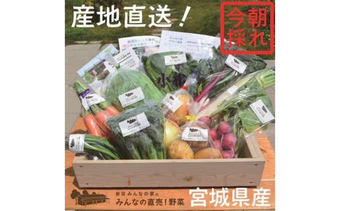 宮城県岩沼市のふるさと納税 野菜 宮城 朝どれ 野菜セット 8～10個 詰め合わせ 岩沼みんなの家 みんなの直売! 季節の野菜 旬の野菜 旬 東北 震災 支援 採れたて野菜を箱いっぱい詰め込んで 産地直送 送料無料 冷蔵 冷蔵配送 宮城県産 宮城県 岩沼市