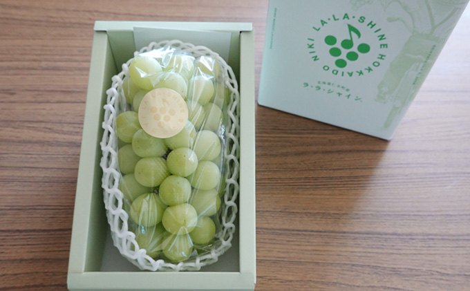 [先行受付] JA新おたる シャインマスカット『LA・LA・SHINE（ラ・ラ・シャイン）』 1房 600g前後 果物 フルーツ ぶどう 旬の果物 産地直送 北海道産 仁木町産 化粧箱 [JA新おたる]