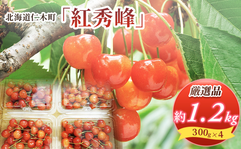 ykCmؒzst kC mؒY   gG 1.2kg (300g×4pbN) LTCYȏ@{  Yn TN{ `F[ t[c ʕ ʕ  mؒ m [RX]