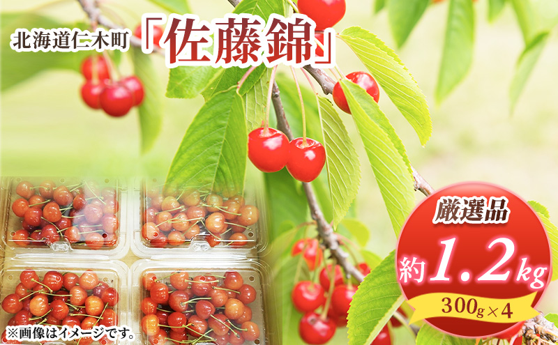 ykCmؒzst kC mؒY   1.2kg (300g×4pbN) LTCYȏ  {  Yn TN{ `F[ t[c ʕ ʕ mؒ m [RX]