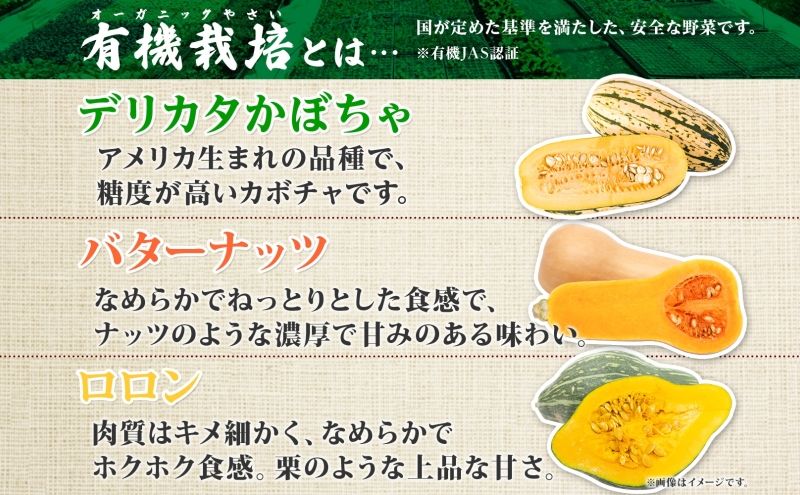 【2026年発送】北海道 オーガニック ３種 の かぼちゃBOX 計約4kg カボチャ デリカタ ミニバターナッツ ロロン 南瓜 有機野菜 野菜 有機栽培 JAS 産直 産地直送 国産 ニセコグリーンファーム