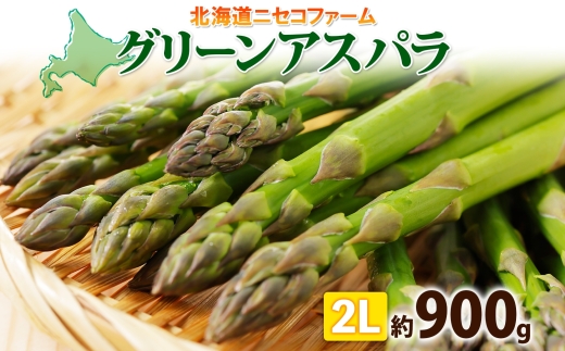 【北海道倶知安町】【 2026年 発送 】 北海道産 グリーン アスパラガス 約 900g 2L アスパラガス アスパラ 旬 朝採り 野菜 新鮮 野菜 お取り寄せ 産地直送 産直 野菜 農作物 詰め合わせ アスパラ 国産 野菜 しりべしや