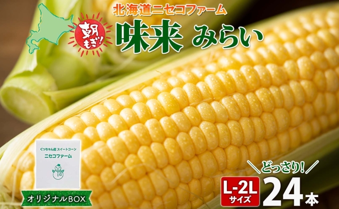 【北海道倶知安町】【 2026年 発送 】 北海道産 とうもろこし 味来 計24本 L-2L サイズ混合 大きめ みらい 旬 朝採り 新鮮 トウモロコシ 甘い 夏野菜 とうきび お取り寄せ 産地直送 野菜 しりべしや 送料無料