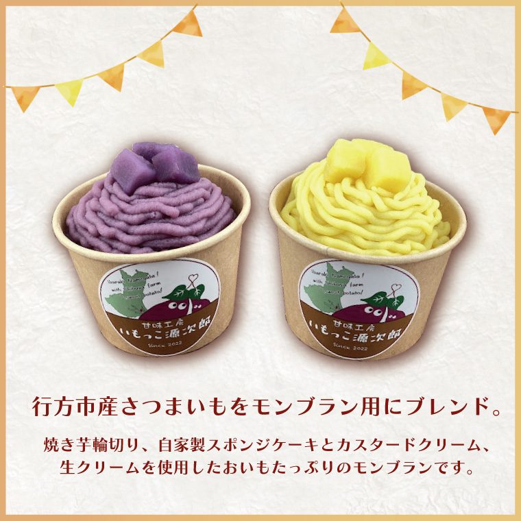 茨城県行方市のふるさと納税 EI-4　焼き菓子・5色のミニモンブラン・行方産焼き芋・2種のモンブランセット