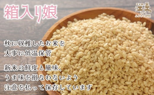 北海道江差町のふるさと納税 【数量・期間限定受付】《定期便5か月》契約農家栽培 江差追分米『ふっくりんこ』【5kg×5回】令和7年産　2025年産　北海道江差町産　北海道米　白米　精米　お米　おこめ　こめ　ご飯　ごはん　農家直送　単一原料米　ブランド米　ふっくら食感、ここちよい甘さ