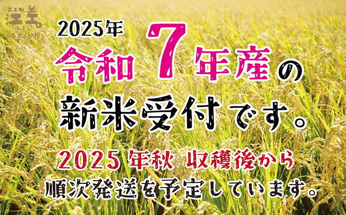 北海道江差町のふるさと納税 【新米先行予約】《定期便3か月》契約農家栽培 江差追分米『ななつぼし』【5kg×3回】令和7年産　2025年産　北海道江差町産　北海道米　白米　精米　お米　おこめ　こめ　ご飯　ごはん　農家直送　単一原料米　ブランド米　甘みと粘りの調和