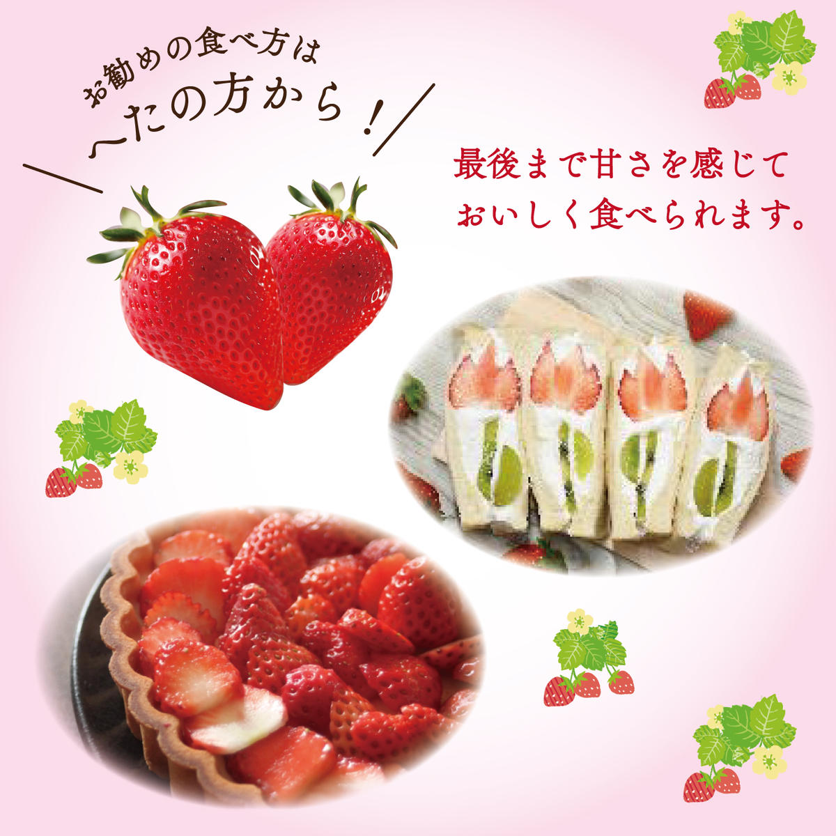 【2026年1月中旬より順次発送】JAなめがたしおさい直送「とちおとめ」2箱（8パック入）(AE-63)