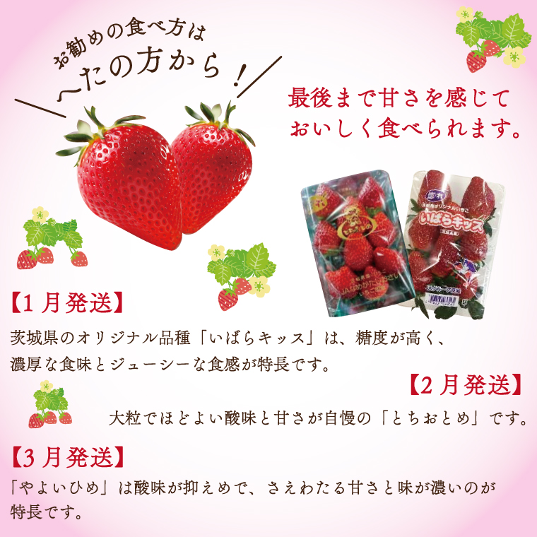 【2026年1月より順次発送】【3回定期便】【いちご食べ比べ】「いばらキッス」・「とちおとめ」・「やよいひめ」(4パック入×3回)JAなめがたしおさい直送便(AE-64)