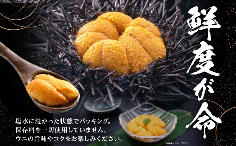 北海道 無添加塩水 ウニ 100g 2パック 1月下旬頃～3月中旬頃まで順次出荷 バフン ムラサキ うに 雲丹 海鮮 小川商店 
