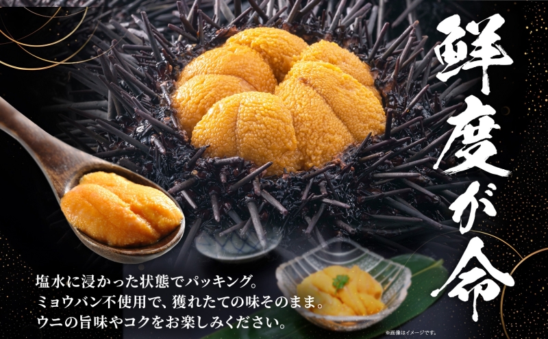 北海道 塩水 ウニ 100g 3パック 1月下旬頃～3月末頃まで順次出荷 バフン ムラサキ うに 雲丹 海鮮 ミョウバン不使用 小川商店