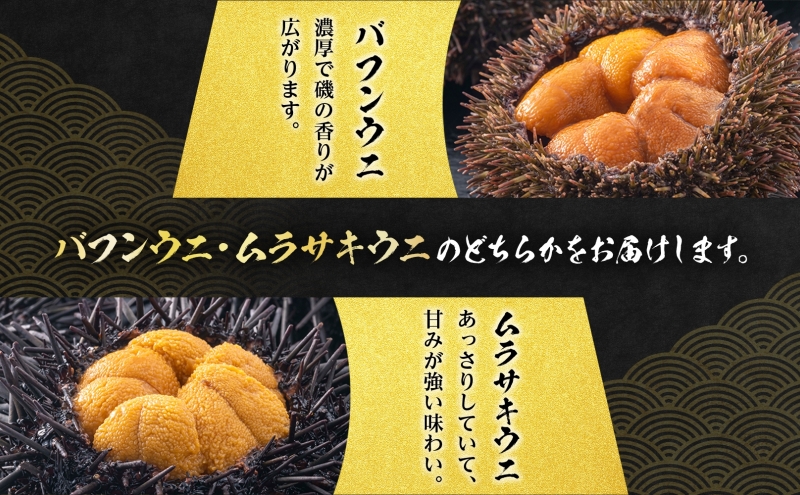 北海道 塩水 ウニ 100g 2パック 1月下旬頃～3月末頃まで順次出荷 バフン ムラサキ うに 雲丹 海鮮 ミョウバン不使用 小川商店