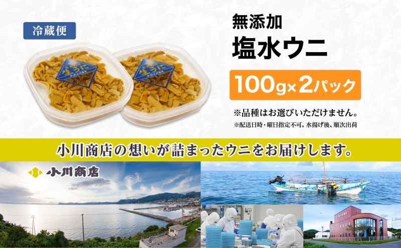 北海道 無添加塩水 ウニ 100g 2パック 1月下旬頃～3月中旬頃まで順次出荷 バフン ムラサキ うに 雲丹 海鮮 小川商店 