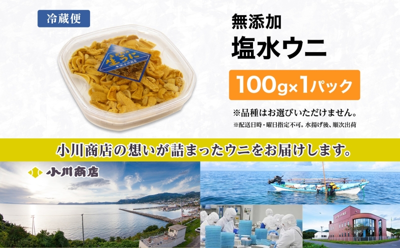 北海道 無添加塩水 ウニ 100g 1パック 1月下旬頃～3月中旬頃まで順次出荷 バフン ムラサキ うに 雲丹 海鮮 小川商店 